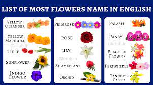 We did not find results for: 100 Flowers Name In English Names Of Flowers Gk Hub