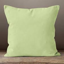 Light Green Throw Pillow Green Throw Pillows Throw Pillows Pillows