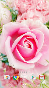 Download rose apk 1.6 for android. Roses For Android Apk Download