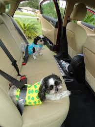 Dog Harness Vest Safety Seat Belt To Keep By Milliespetcreations Dog Vest Harness Dog Harness Pets