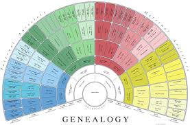 My Family Tree Usefulcharts