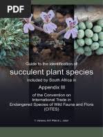 Image result for Sabicea bequaertii