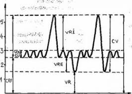 Details of the transaction(s) a) description of the financial instrument, type of instrument language: Aparatul Respirator Anatomia Aparatului Respirator