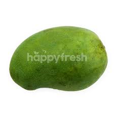 Jika anda menghendaki bibit mangga berkualitas dan ingin mengetahui harga bibit. Jual Super Harum Manis Mango Di Hokky Happyfresh