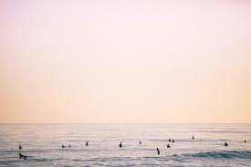 Pin On Cute Wallpapers