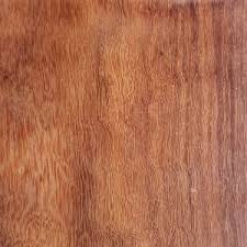 Image result for Inhambanella henriquesii