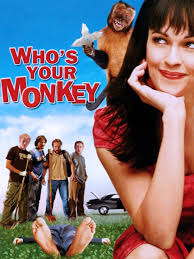 Who S Your Monkey 2007 Rotten Tomatoes If wanda finally lets go of the past, vision's death by all accounts, wandavision takes place shortly after endgame. who s your monkey 2007 rotten tomatoes