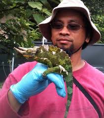 A “gastropad” for gastropods: