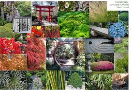 Garden Moodboard Google Search Pflanzen