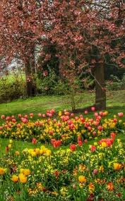 the beauty of spring beautiful nature pictures beautiful nature nature