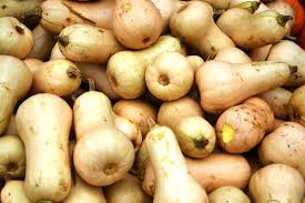 Yellow bush scallop summer squash seeds. How To Grow Butternut Squash From Seed Organic Gardening Mother Earth News