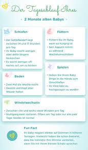 Baby 2 Monat Entwicklung Schlafrhythmus Trinkmenge Pampers