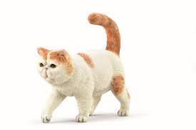 Exotic shorthair kittens for sale is the best choice for beautiful, healthy, affectionate, lovely and adorable shorthair kittens. Collecta Cats Figurines Collecta Exotic Shorthair 88937