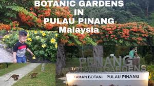 Taman botani pulau pinang (ms); Botanic Gardens Pulau Pinang Malaysia Youtube