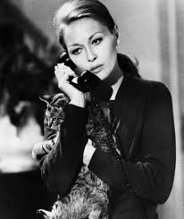 Summaries (1) synopsis (1) summaries. Faye Dunaway In Puzzle Of A Downfall Child 1970 Famousfix Com Post