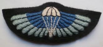 Actually 23 Special Air Service Sas Cloth Wings C1960 Not 21