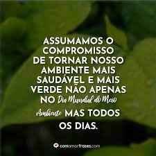 Mensagens e frases dia do meio ambiente. Assumamos O Compromisso De Tornar Nosso Ambiente Mais Saudavel E Mais Verde Nao Apenas No Dia Mundial Do Meio Ambiente Mas Todos Os Dias Com Amor Frases