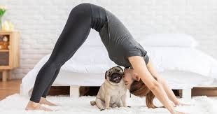 Ujjayi is another easy breathing technique for a beginner in which, while breathing, a soothing sound has to produce through the back of the throat. 8 Best Yoga Poses For Heart Health Heart Health Sharecare