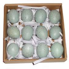Small Bird Eggs With Brown Spots Set Of 12 Ceramic Faux Bird S Eggs In Box Green With Brown Spots Cas Http Www Amazon Com Dp B00imi71d6 Ref Cm Sw R Pi Dp 0s Bird Eggs Shabby Chic Brown Spots