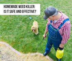 Read on and learn how to make a homemade weed killer. Facebook