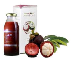 Image result for khasiat dan manfaat ace maxs