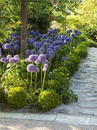Buis Boule Plus De 100 Photos Pour Vous Archzine Fr Idees De Jardinage Idees Jardin Massif Fleurs