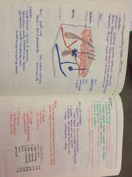 Integumentary System Overview Medical School Studying Integumentary System Skin Anatomy