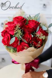He also assured bill that he forgave him for his offenses. Say I M Sorry Using These Stunning Apology Flowers Orchid Republic