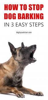 Fastest Way To Stop Unwanted Barking Stop Dog Barking Dog Barking Dog Training Tips