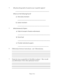 Worksheet On Plant Tissues