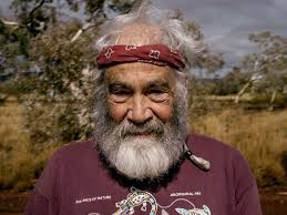 Meet our native ingredients