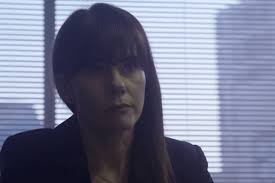 Advokaat Nicki Swanepoel