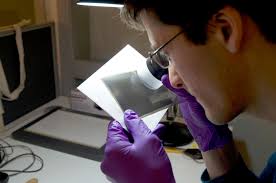 Pitt Rivers Museum Photograph and Manuscript Collections: 2013