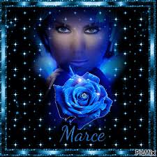 Mi Rosa Blue
