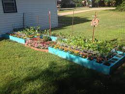Great prices on your favourite gardening brands, and free delivery on eligible orders. Raised Cinderblock Garden Bed Marigolds Zucchini Yellow Squash Green Beans Green Spray Paint Growing Marigolds Garden Beds Vegetable Garden Tips