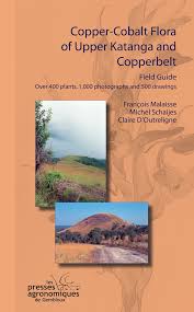 Image result for Cheilanthes angustifrondosa