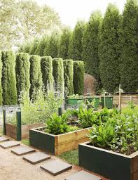 You can grow simple snacks for you and your family, or try to supplement entire meals with your. 10 Of The Latest Gardening Trends Your Home And Garden Home Vegetable Garden Backyard Garden Vegetable Garden Beds
