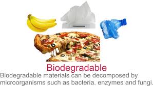 Biodegradable And Non Biodegradable Difference Between