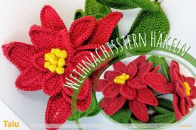 Weihnachtsstern Häkeln Kostenlose Häkelanleitung Talude