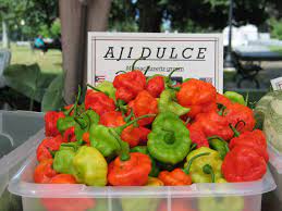 If you can't find it, use red bell pepper. Aji Dulce Worldcrops