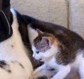 𝘒𝘪𝘳𝘢 on X: "今日も元気に頑張ろー٩(๑❛ᴗ❛๑)۶ https://t ...