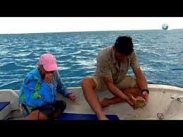 Check spelling or type a new query. Man Woman Wild Snot Sushi Youtube