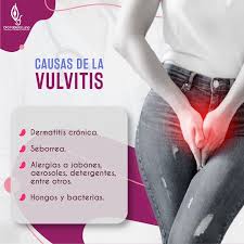 Image result for Vulvitis