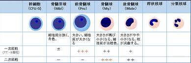 Https Guides Lib Kyushu U Ac Jp C Php G 775049 P 5560173