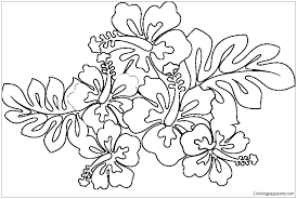 Hawaiian flower coloring pages printable. Hawaiian Flower Coloring Pages Flower Coloring Pages Coloring Pages For Kids And Adults