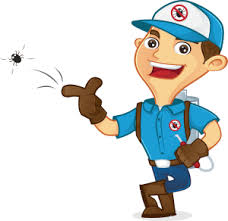 Termites feed on wood 24 hours a day, meaning a termite infestation can quickly turn into a major problem. 24 Hour Pest Control Service Around The Clock Pest Control