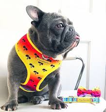 Doing this will keep your dog active. Handmade Specialty Frenchie Accessories Made Specifically For French Bulldogs Unique Sizing And Health Needs Menu Frenchiestore 0 Collections Lips Roses Puppy Love Unipup The Child Pug Dog Livin La Vida Frenchie Harry Pupper Buffalo Plaid