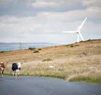 Esgair Galed Energy Park Information | Facebook