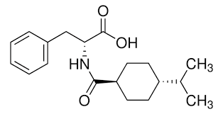 Image result for Meglitinide