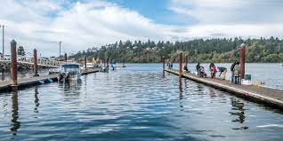 Discover the bounty of clamming and crabbing in alsea bay by renting a boat and crabbing or clamming gear from the dock of the bay marina. Alsea Bay Marina Robinson Park Oregon Coast Visitors Association